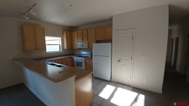 E Animas Village Ln, Durango, CO 81301 - photo 4