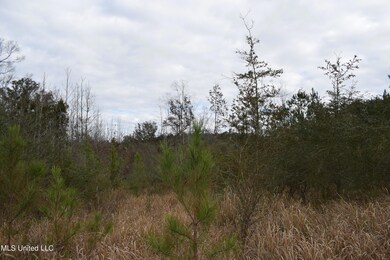 6.50+/- Ac Highway 63 S, Lucedale, MS 39452 - photo 4