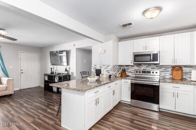 833 E Dolphin Ave, Mesa, AZ 85204 - photo 7