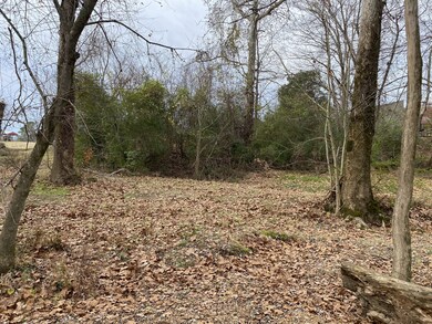 0 Country Club Dr unit RTC2462978, Linden, TN 37096 - photo 4