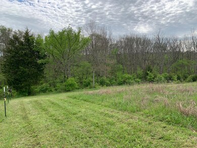 1618 Cummins Ferry Rd, Bondville, KY 40372 - photo 6
