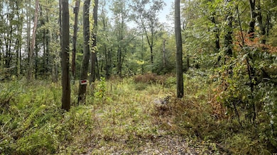 16-web-or-mls-DJI_0417