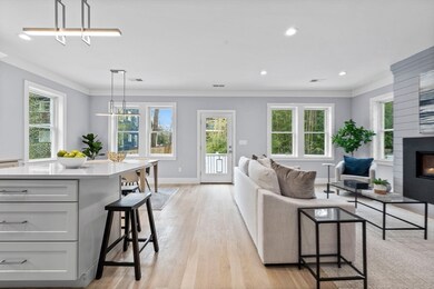 147 Williams St unit 2, Boston, MA 02130 - photo 4