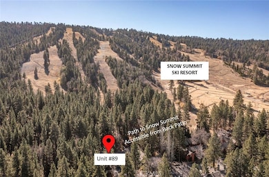 41935 Switzerland Dr unit 89, Big Bear Lake, CA 92315 - photo 3