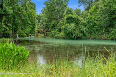 6572 River Run Blvd, Weeki Wachee, FL 34607 - photo 3