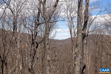 582 Pedlars Edge Dr, Roseland, VA 22967 - photo 6