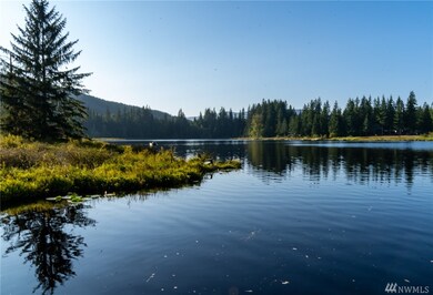 21316 268th Place NE, Arlington, WA 98223 - photo 3