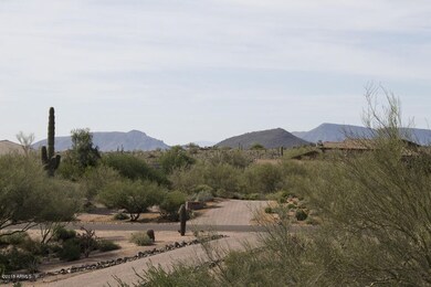 102 Gambel Quail WEB 5.jpg