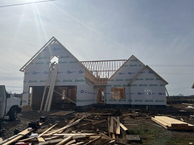 205 Meadowbrook Dr, Shelbyville, TN 37160 - photo 4