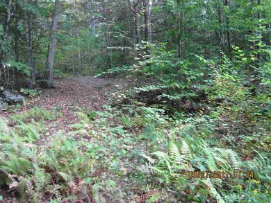 0 Cobble Hill Rd unit 4660547, Swanzey, NH 03446 - photo 5