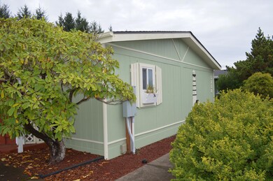 Evergreen Longview 002