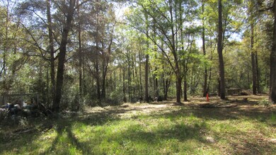 more views of land
