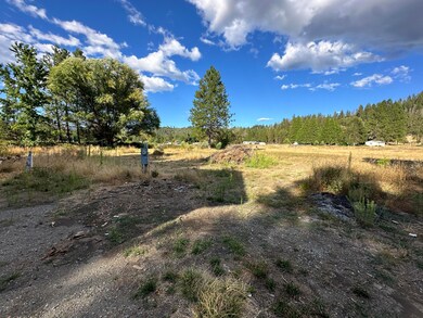 172 Lofland Ln, Williams, OR 97544 - photo 5