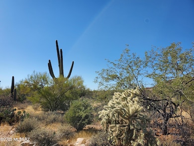 Desert Landscape