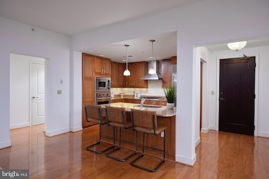 The Park Potomac Place unit 909N, Potomac, MD 20854 - photo 6