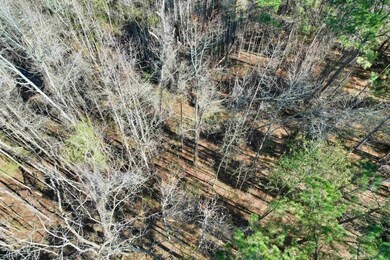 2894 SW Overstreet Ave, Greenville, FL 32331 - photo 6