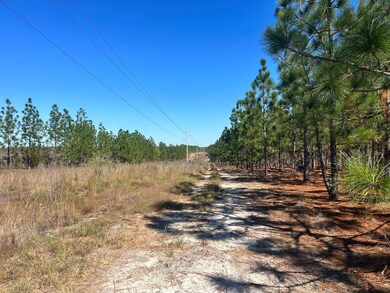 5710 Lake Robinson Rd, Hartsville, SC 29550 - photo 5