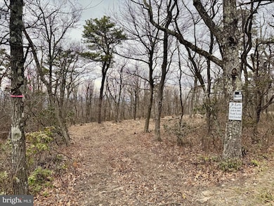 LOT 153 Bobcat Trail, Winchester, VA 22602 - photo 3