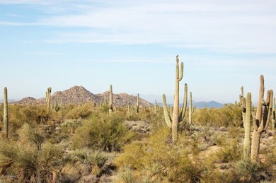 Great Desert Views