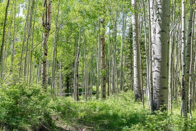 AspenGrove (2)