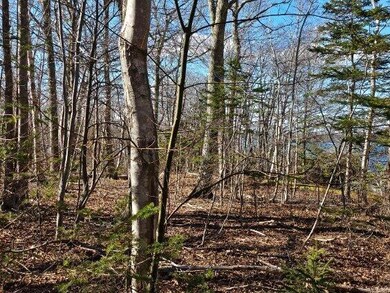 00 Cindy Cir, Boothbay, ME 04537 - photo 6