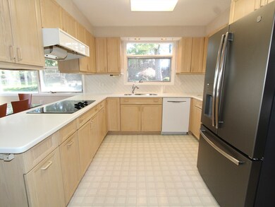 142 Winifred Ave, Worcester, MA 01602 - photo 6