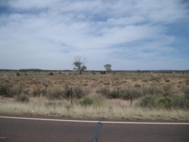 0 S Bourdon Ranch Rd unit 220150, Taylor, AZ 85939 - photo 2