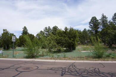 781 Bushman, Show Low, AZ 85901 - photo 5