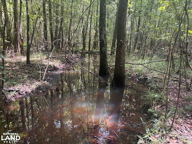 000 Pebble Cove Rd, Abbeville, AL 36310 - photo 3