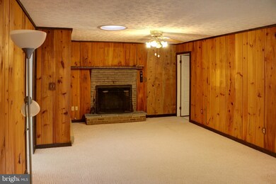 225 Sarah Ln, Basye, VA 22810 - photo 4