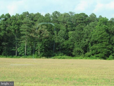 0 Old Stage Rd, Laurel, DE 19956 - photo 2