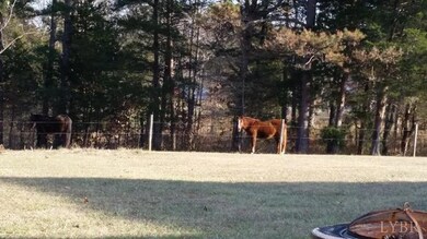 1117 Mohawk Rd, Long Island, VA 24569 - photo 6