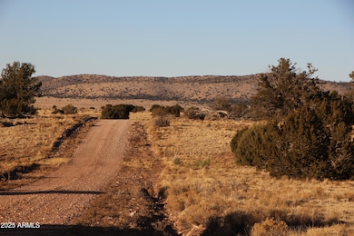 Wrangler Wrangler Ridge Rd unit 30118203, Seligman, AZ 86337 - photo 3