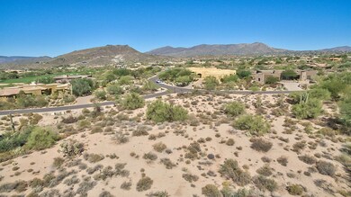 north view