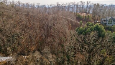 Lot 7 Ada Ridge Rd, Mineral Bluff, GA 30559 - photo 4