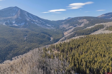 980 Saddle Ridge Rd, Crested Butte, CO 81224 - photo 7