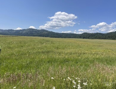 163.21 AC Gray Ln, Cascade, ID 83611 - photo 6
