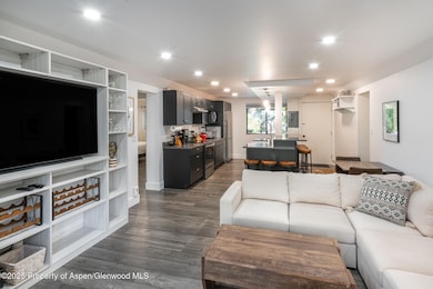 1316 Vine St unit 1316, Aspen, CO 81611 - photo 3