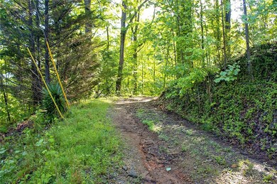 View of local wilderness featuring a view of trees