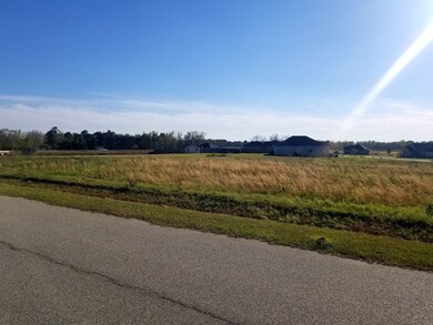 401 Bailey Cir unit 28, Thomasville, GA 31757 - photo 3