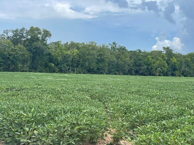 0 Hwy 71 unit 11462320, Colfax, LA 71417 - photo 4