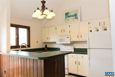 133 Eagles Ct Condos, Wintergreen Resort, VA 22967 - photo 7