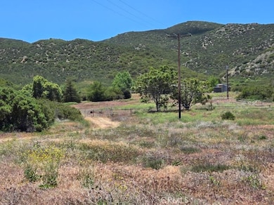 36255 Grapevine Canyon Rd, Ranchita, CA 92066 - photo 5