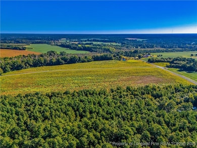 Lot 18 Daniel McLeod Rd, Red Springs, NC 28377 - photo 5