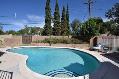Backyard 3