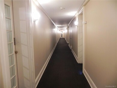 Consulate on the Park unit 110, Tuckahoe, NY 10707 - photo 7