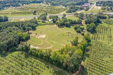 22248 U S Highway 31 unit 1, Thorsby, AL 35171 - photo 5