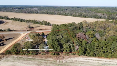 1385 Alabama 54, Kinston, AL 36453 - photo 3