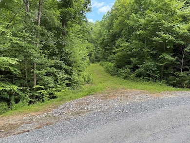 Lot 59 Garnet Rd, Sylva, NC 28779 - photo 5