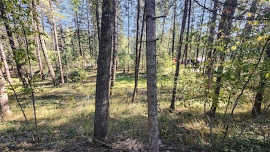 1505 Kootenai River Rd, Libby, MT 59923 - photo 5